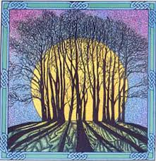 grove trees moonlight